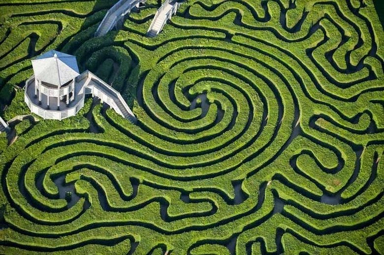 image of hedge maze